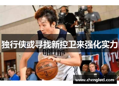 独行侠或寻找新控卫来强化实力